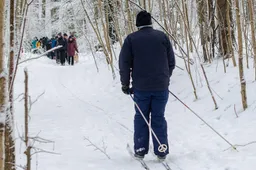Ekologinį taką Vidzgirio botaniniame draustinyje planuojama sutvarkyti