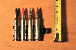 Šovinius ir pirotechninius užtaisus rado pas kulkosvaidininką bute