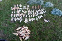 Brakonieriavusiems Dzūkijoje teks susimokėti ir tūkstantines baudas