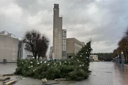 Stiprus vėjas nuvertė Alytaus Kalėdų eglę