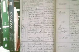 Alytus žalio miesto įvaizdį puoselėja nuo seno