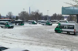 7-asis autobusas vėl užsuks į Krivulės gatvę