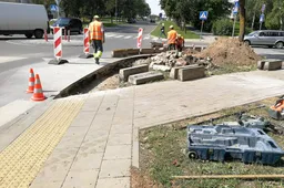 Vidzgiryje platinama žiedinė sankryža