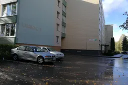 Iš Airijos grįžtantis muzikantas su gimtojo Alytaus  gyventojais susitiks mikrorajonuose