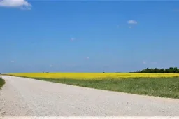 Link keturių ežerų – mažiau žvyrkelio, daugiau asfalto