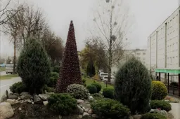 Kalėdas Putinuose puoš originali eglė