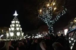 Kalėdų eglutė Rotušės aikštėje sužibs po mėnesio