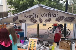 Mugė Alytaus miesto gimtadienio metu nevyks