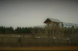 Protestas Alytuje: maisto atsisakė beveik 200 kalinčių pataisos namuose