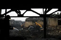 Padangų gaisrų paliestos vietovės iš pelenų kyla dešimtmečiais