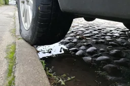 Karantino lengvatos vairuotojams: dygliuotų padangų keitimas – atidėtas