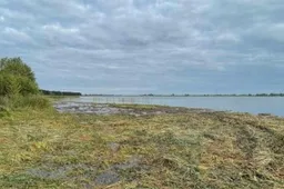 Simno ežero ir Dovinės upės vandens būklė pagerėjo