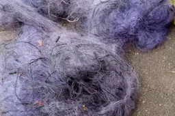 Žvejojo keturiais statomaisiais tinklais