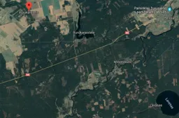 Plynai iškirto ir pavogė 3 hektarus miško