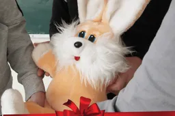 Visi triušiai šoka į teatrą