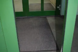 Komisariato durų stiklą išdaužė policijai gerai žinoma moteris