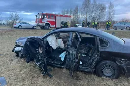 Alytaus rajone avarijos metu sužalotas vairuotojas