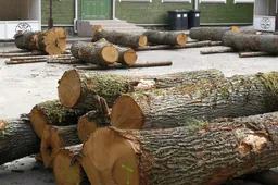 Literatūrinį parką plės menininkai iš Lietuvos, Baltarusijos, Izraaelio, Kosta Rikos ir Serbijos