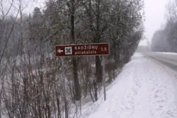 Kas norite pasivaikščioti po Alytuje esantį botaninį draustinį?