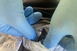 Jaunimo parke Alytuje – ir narkotikai: sulaikyti, į policiją pristatyti keturi paaugliai