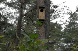Inkilų kėlimo šventė vyks ir Dzūkijoje