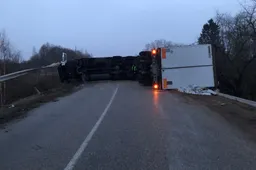 Vilkikas užtvėrė kelią