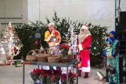 „TikoTiks“ centre – pirmoji Kalėdų eglutė ir nė vienos pirktinės dekoracijos