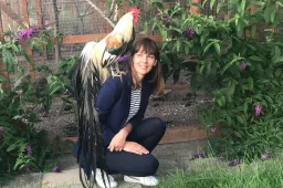 Pirmą kartą Alytuje – pasaulyje dėl titulų besivaržančių gyvūnų paroda