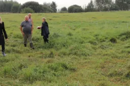 Ūkininkams - neramios naktys: vilkai siautėja Alytaus rajone