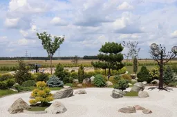 Gražiausios aplinkos konkursas vis dar vyksta – dalyvaukite!