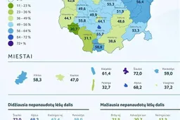 Kiek piniginių socialinės paramos lėšų nepanaudojo Alytaus miestas?