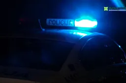 Grasinta nušauti – ginklu sužalota kakta