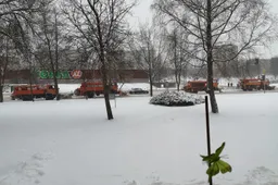 Eismo sąlygos Alytuje – kaip jas vertiname?