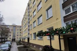 Sulaikytas Alytuje moteris puldinėjęs plėšikas