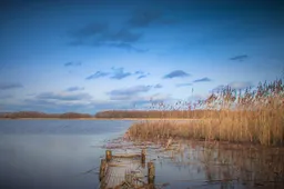 Prie Galsto ežero poilsiavusi kompanija aplinkosaugininkų nurodymų nepaisė