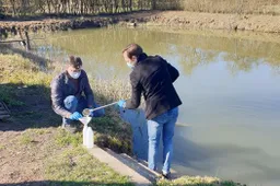 Paimti mėginiai aplinkos tyrimams, baigti utilizuoti gyvuliai