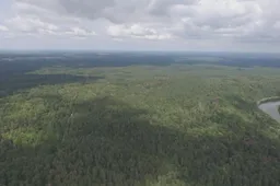 Nustatomos papildomos apsaugos priemonės Punios šile