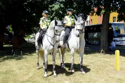 Policijos šventė sulaukė gausaus smalsuolių būrio