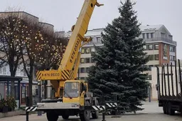 Rotušės aikštėje – nauja Kalėdų eglė