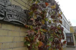 Vaikai galės grįžti į Alytaus miesto darželius