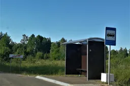 4-ojo maršruto mikroautobusas tarp Alytaus ir Užupių kapinių kursuos papildomai