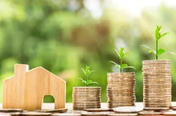 Paskui pasaulio lyderius: žiedinės ekonomikos sėkmės receptas Lietuvai