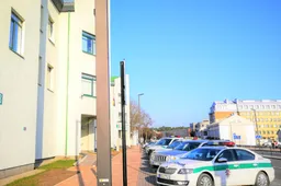 Sulaikomas dėl vagysčių apšvarino ir pareigūnę policijos komisariate