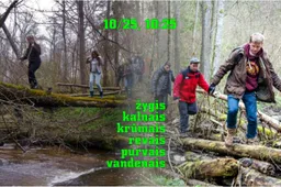 Žygis – link Ka(L)niūkų šalia Alytaus