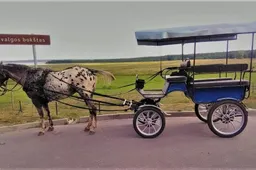 Karietai nuvažiavus nuo kelio (?) – trys sužeistieji