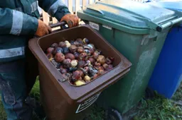 Rudens gėrybės keliauja į rūsius ir... konteinerius