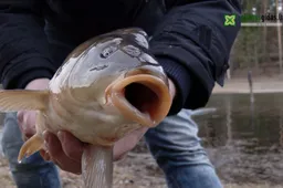 Žvejoti Vasario 16 ir Kovo 11-ąją – nemokamai