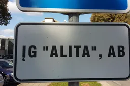 Siūloma, kad „Alitą“ valdantis koncernas negalėtų turėti TV