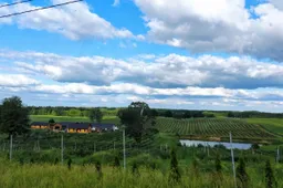 Gera žinia ūkininkams – išmokos už karantino laikotarpį