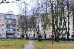 Iš moters išplėšė rankinę ir pabėgo